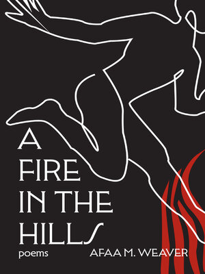 cover image of A Fire in the Hills